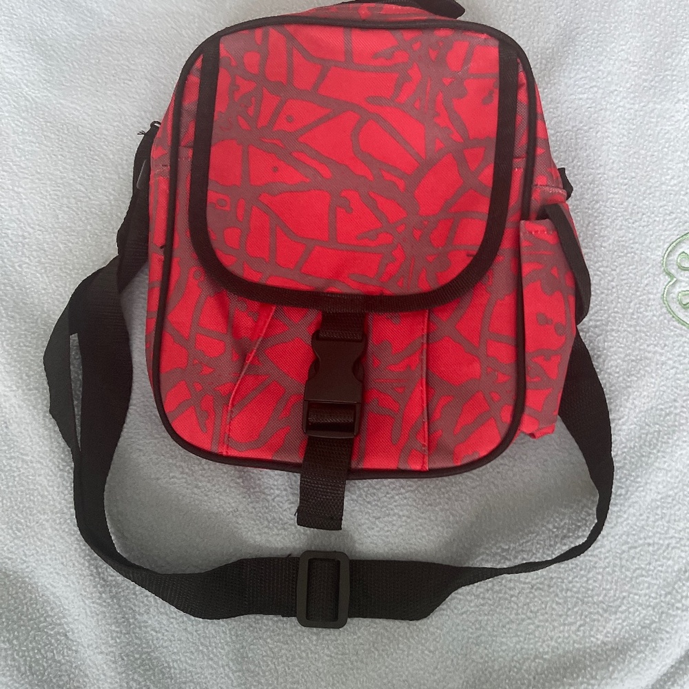AARP Red Lunch Bag